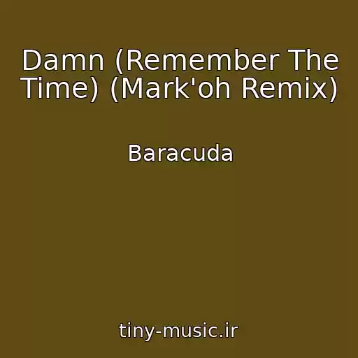 کاور آهنگ Damn (Remember The Time) (Mark'oh Remix) از Baracuda