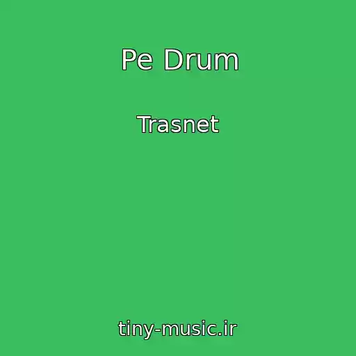 کاور آهنگ Pe Drum از Trasnet