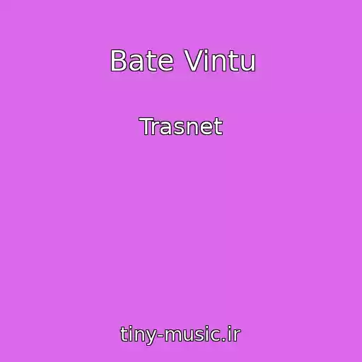 کاور آهنگ Bate Vintu از Trasnet