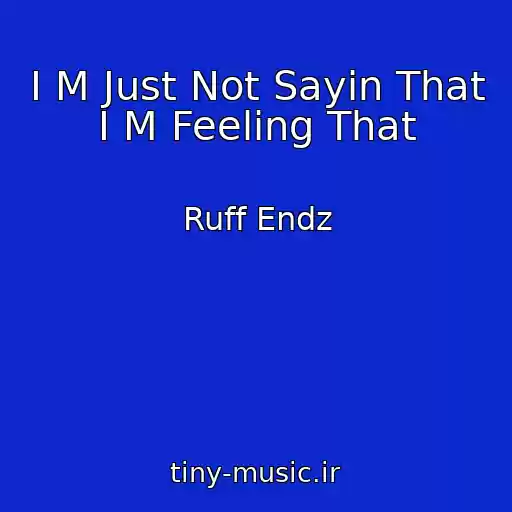 کاور آهنگ I M Just Not Sayin That I M Feeling That از Ruff Endz