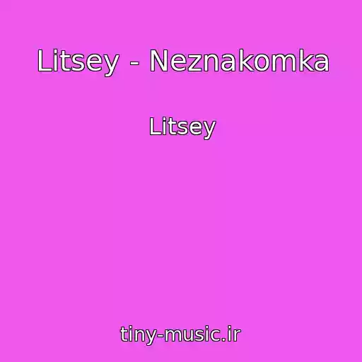 کاور آهنگ Litsey - Neznakomka از Litsey
