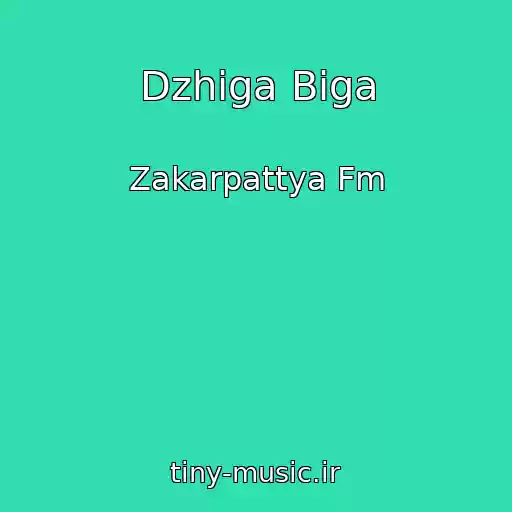 کاور آهنگ Dzhіga Bіga از Zakarpattya Fm