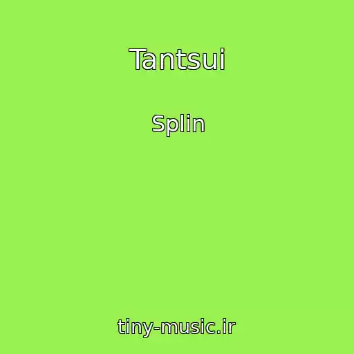 کاور آهنگ Tantsui از Splin