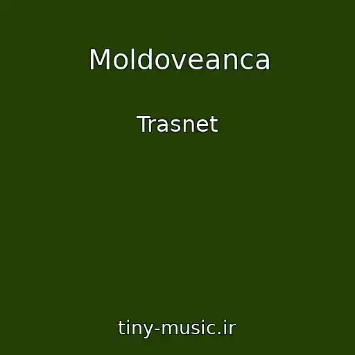کاور آهنگ Moldoveanca از Trasnet