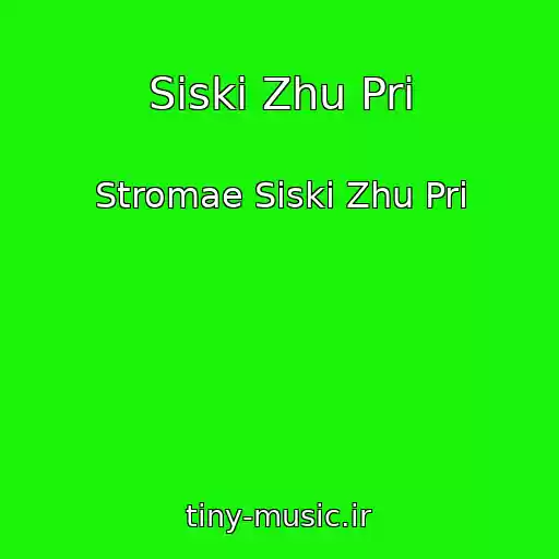 کاور آهنگ Siski Zhu Pri از Stromae Siski Zhu Pri