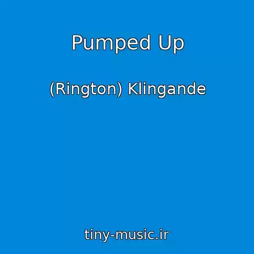 کاور آهنگ Pumped Up از (Rington) Klingande