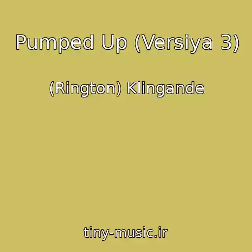 کاور آهنگ Pumped Up (Versiya 3) از (Rington) Klingande
