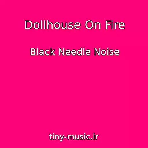 کاور آهنگ Dollhouse On Fire از Black Needle Noise