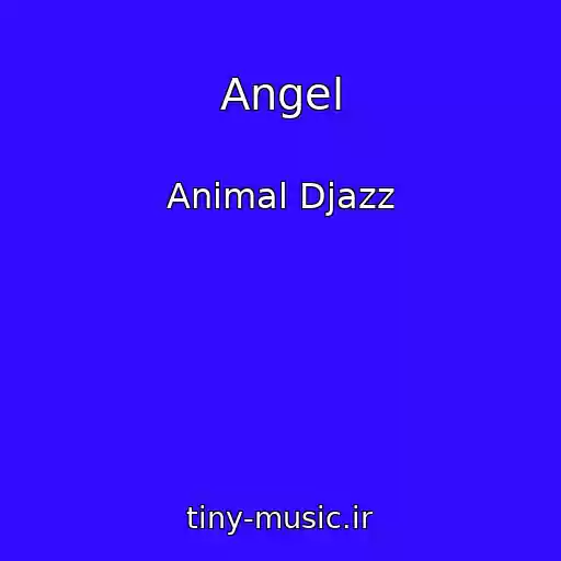 کاور آهنگ Angel از Animal Djazz