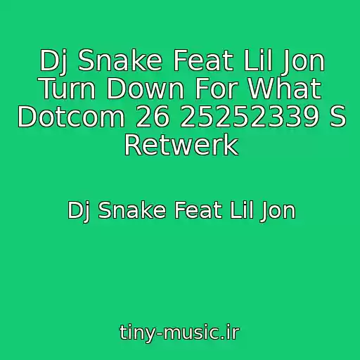 کاور آهنگ Dj Snake Feat Lil Jon Turn Down For What Dotcom 26 25252339 S Retwerk از Dj Snake Feat Lil Jon