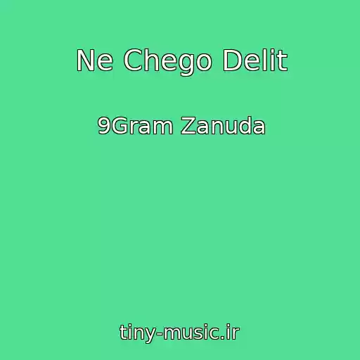 کاور آهنگ Ne Chego Delit از 9Gram Zanuda