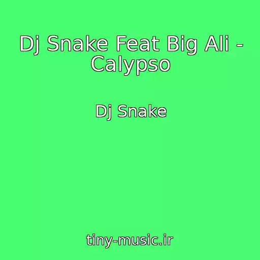 کاور آهنگ Dj Snake Feat Big Ali - Calypso از Dj Snake