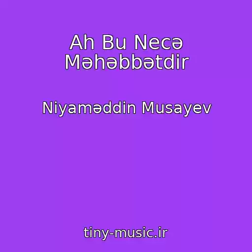کاور آهنگ Ah Bu Necə Məhəbbətdir از Niyaməddin Musayev