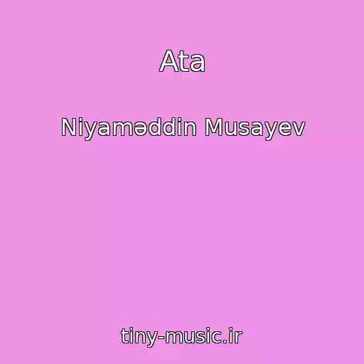 کاور آهنگ Ata از Niyaməddin Musayev