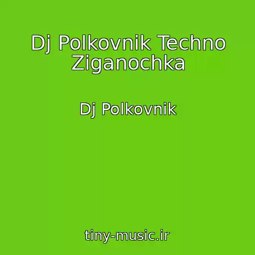 کاور آهنگ Dj Polkovnik Techno Ziganochka از Dj Polkovnik