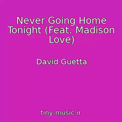 کاور آهنگ Never Going Home Tonight (Feat. Madison Love) از David Guetta