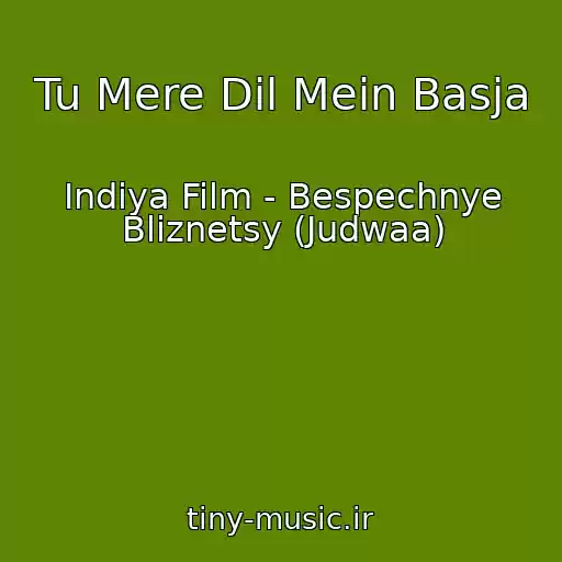 کاور آهنگ Tu Mere Dil Mein Basja از Indiya Film - Bespechnye Bliznetsy (Judwaa)