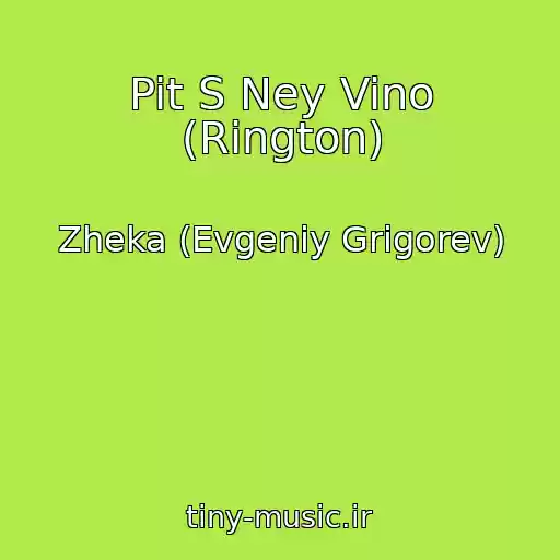 کاور آهنگ Pit S Ney Vino (Rington) از Zheka (Evgeniy Grigorev)