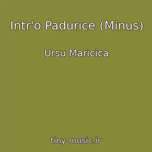 کاور آهنگ Intr'o Padurice (Minus) از Ursu Maricica