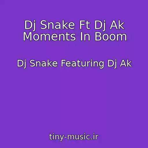 کاور آهنگ Dj Snake Ft Dj Ak Moments In Boom از Dj Snake Featuring Dj Ak