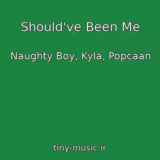 کاور آهنگ Should've Been Me از Naughty Boy, Kyla, Popcaan