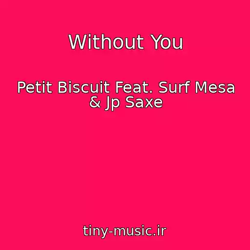 کاور آهنگ Without You از Petit Biscuit Feat. Surf Mesa & Jp Saxe