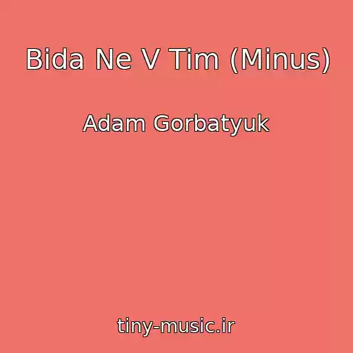 کاور آهنگ Bіda Ne V Tіm (Minus) از Adam Gorbatyuk