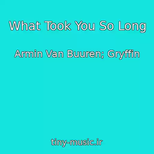 کاور آهنگ What Took You So Long از Armin Van Buuren; Gryffin