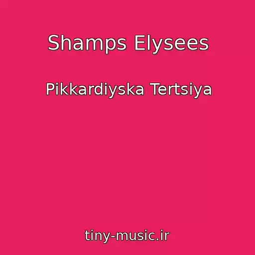 کاور آهنگ Shamps Elysees از Pіkkardіyska Tertsіya