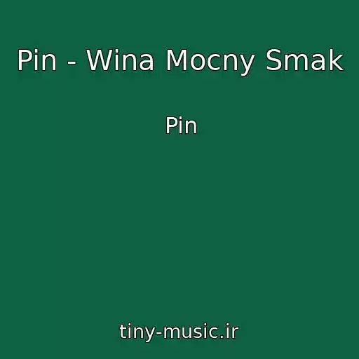 کاور آهنگ Pin - Wina Mocny Smak از Pin