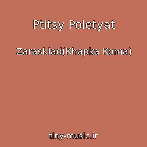 کاور آهنگ Ptitsy Poletyat از Zarasklad(Khapka Koma)