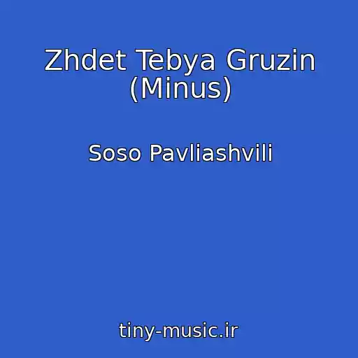 کاور آهنگ Zhdet Tebya Gruzin (Minus) از Soso Pavliashvili