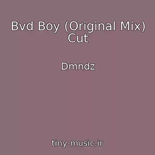 کاور آهنگ Bvd Boy (Original Mix) Cut از Dmndz