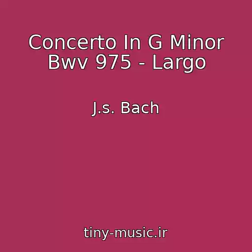 کاور آهنگ Concerto In G Minor Bwv 975 - Largo از J.s. Bach