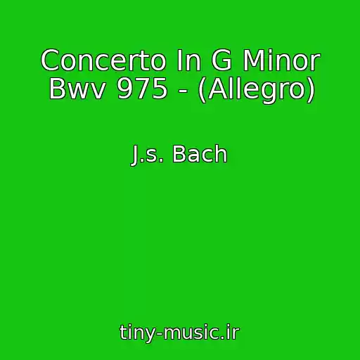 کاور آهنگ Concerto In G Minor Bwv 975 - (Allegro) از J.s. Bach