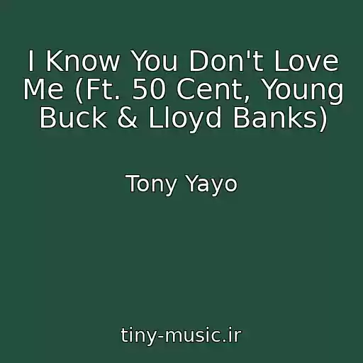 کاور آهنگ I Know You Don't Love Me (Ft. 50 Cent, Young Buck & Lloyd Banks) از Tony Yayo