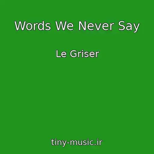 کاور آهنگ Words We Never Say از Le Griser