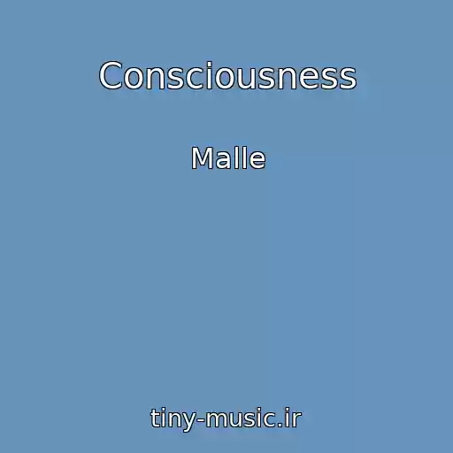 کاور آهنگ Consciousness از Malle