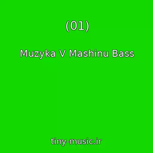 کاور آهنگ (01) از Muzyka V Mashinu Bass