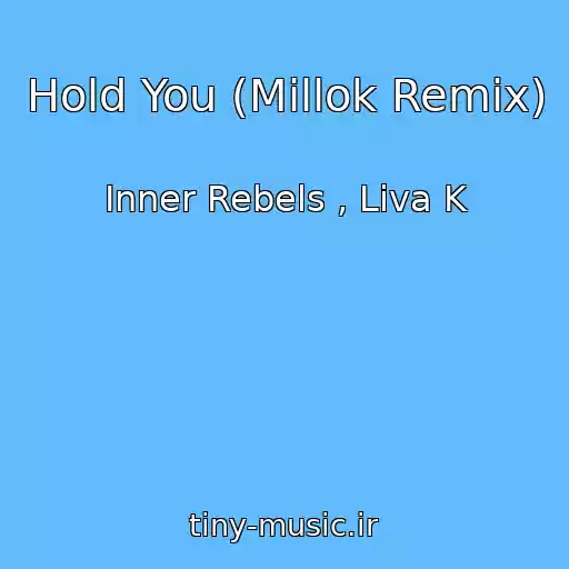 کاور آهنگ Hold You (Millok Remix) از Inner Rebels , Liva K