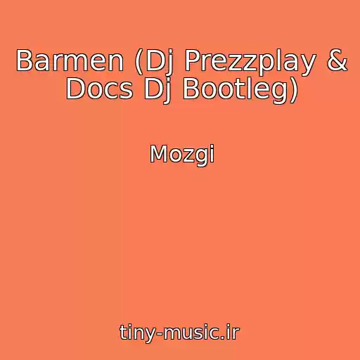 کاور آهنگ Barmen (Dj Prezzplay & Docs Dj Bootleg) از Mozgi