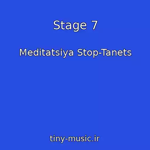 کاور آهنگ Stage 7 از Meditatsiya Stop-Tanets