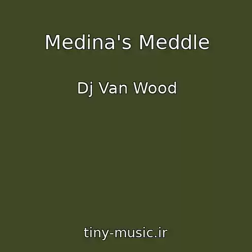 کاور آهنگ Medina's Meddle از Dj Van Wood