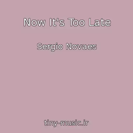 کاور آهنگ Now It's Too Late از Sergio Novaes