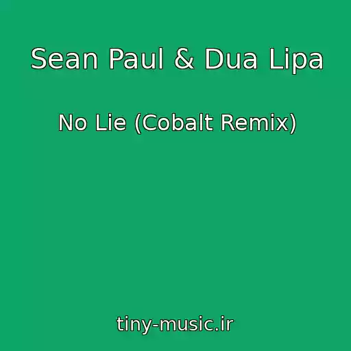 کاور آهنگ Sean Paul & Dua Lipa از No Lie (Cobalt Remix)