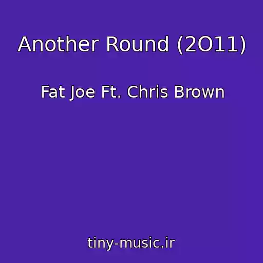 کاور آهنگ Another Round (2O11) از Fat Joe Ft. Chris Brown