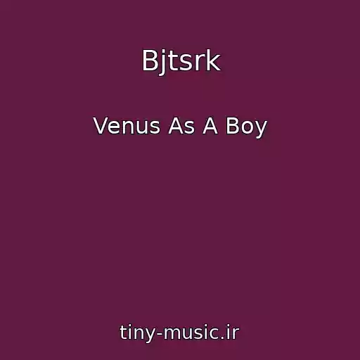 کاور آهنگ Bjtsrk از Venus As A Boy