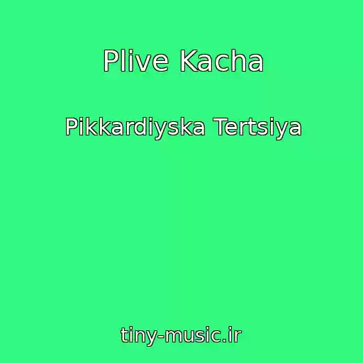 کاور آهنگ Plive Kacha از Pіkkardіyska Tertsіya