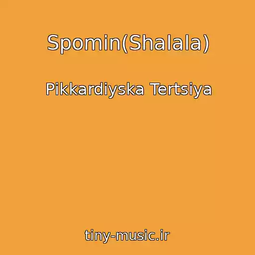 کاور آهنگ Spomin(Shalala) از Pіkkardіyska Tertsіya