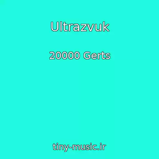 کاور آهنگ Ultrazvuk از 20000 Gerts